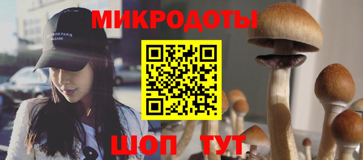 Псилоцибиновые грибы Magic Shrooms  Вход с VPN  Дедовск 
